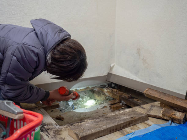 Best Post-Construction Mold Inspection  in Lordship, CT