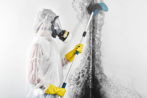 Best Mold Remediation for Healthcare Facilities  in Lordship, CT
