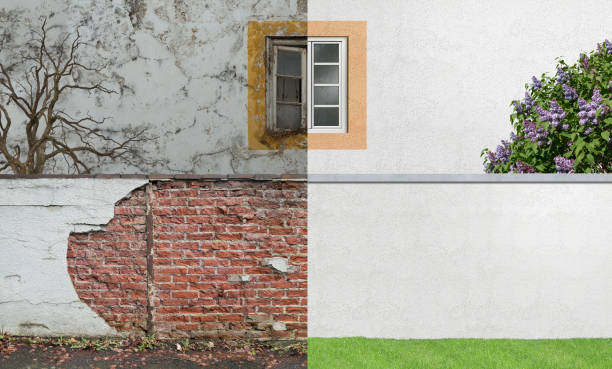 Mold Odor Removal Services in Lordship, CT
