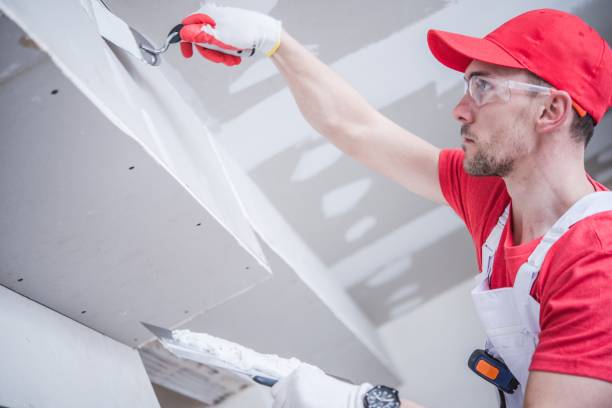 Best Forensic Mold Investigation  in Lordship, CT